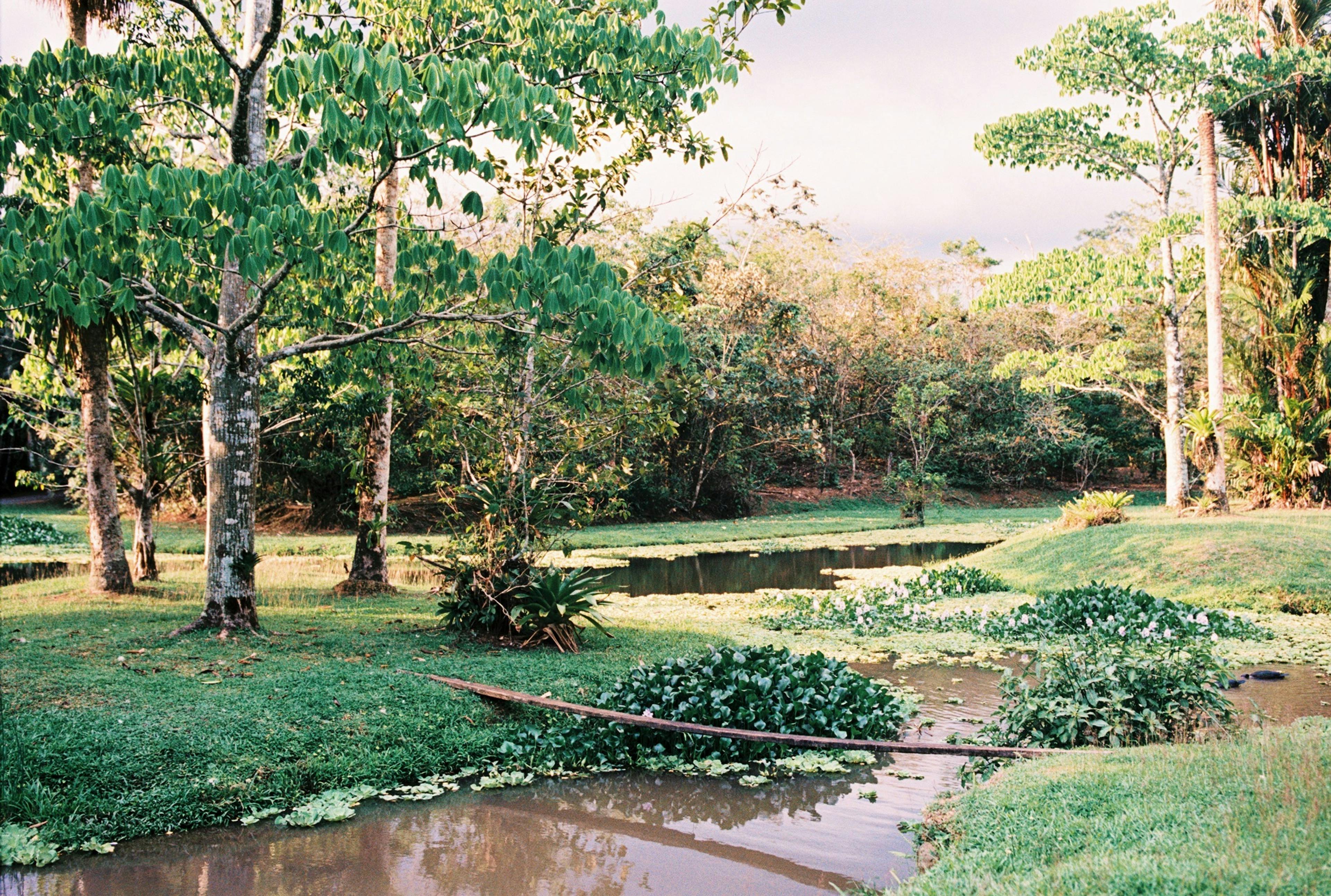 Costa Rica jungles and water basin captured on film by Natalie Carrasco